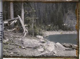 Image représentant Canada, Lac Louise, Une vue s/ le lac à travers les arbres