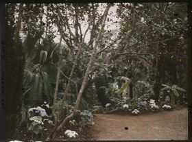 Image représentant Cap Martin Le Jardin