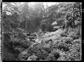 Image représentant Chemin du " sanctuaire japonais " menant au sorinto et rocaille fleurie ponctuée de conifères