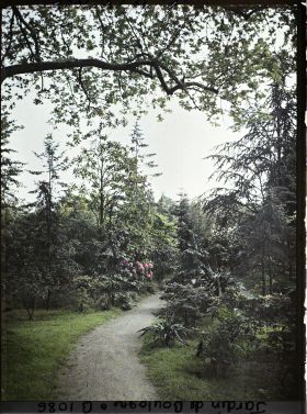 Image représentant Chemin menant vers le marais