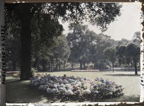 Image représentant Vues diverses d'Hyde Parc les jardins
