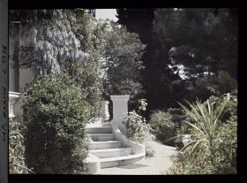 Image représentant Allée au pied du perron fleuri de la villa Miramar, bordée de plantes exotiques et de fleurs
