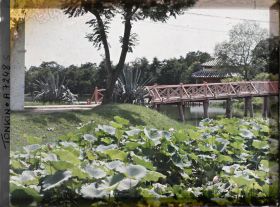 Image représentant La passerelle conduisant au temple Ngoc-s'on (appelé par les Européens "Pagode des Pinceaux"), situé sur "l'île de Jade" du Petit Lac couvert de lotus