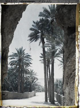 Image représentant La sortie de la palmeraie