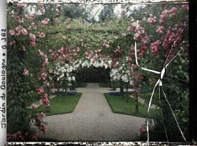 Image représentant Axe central du verger-roseraie vu depuis le second carrefour avant la dépendance