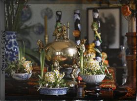 Image représentant L'autel des ancêtres fleuri de narcisses, à l'époque de la fête du Têt