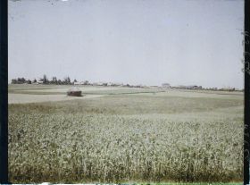 Image représentant France, Roclincourt, Vue Gle d'Ecurie et sol remis en Culture