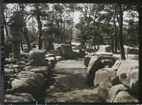 Image représentant Lanternes dans un parc