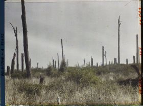 Image représentant Belgique, Hooghe, Le Parc du Château autre aspect