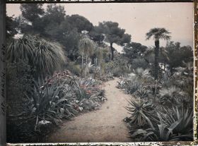 Image représentant Cap Martin Le Jardin