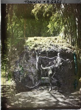 Image représentant Un enfant monté sur un buffle