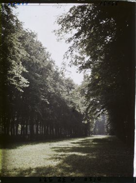 Image représentant France, Compiègne, Une allée du Parc