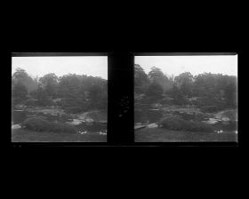 Image représentant Le jardin botanique de l'Université impériale de Tokyo