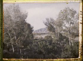 Image représentant Paysage (plaine plantée d'arbres)