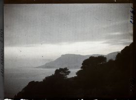 Image représentant Lignes d'arbres et pointe de Monaco vus à contre-jour, non loin de la villa Kahn, dite villa Zamir