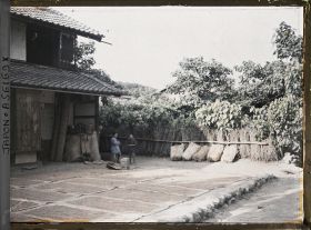 Image représentant Séchage du riz dans une cour de ferme