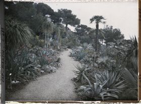 Image représentant Cap Martin Le Jardin