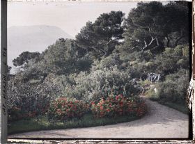 Image représentant Cap Martin - Le Jardin