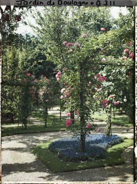 Image représentant Parterre fleuri du verger-roseraie, situé au sud-est du rond-point proche du jardin français