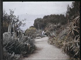 Image représentant Le Jardin