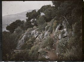 Image représentant Cap Martin Le Jardin