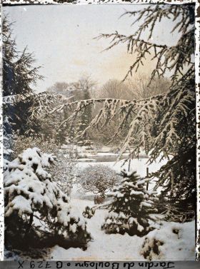 Image représentant Forêt bleue et Marais sous la neige