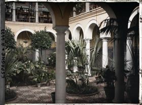 Image représentant Espagne, Cordoue, Patio de maison particulière