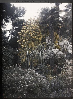 Image représentant Cap Martin - Le Jardin