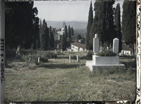 Image représentant Tombes dans un cimetière planté de cyprès