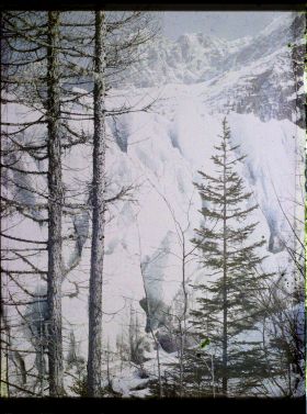Image représentant France Les Alpes, Les Bossons, Glacier des Bossons, les aiges du Glacier des Bossons à travers les arbre et Aige du Plan