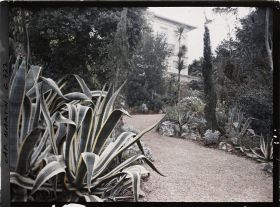 Image représentant Vers la villa Dunure