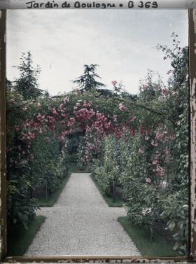 Image représentant Arches de roses au coeur du verger-roseraie et allée bordée de fruitiers palissés menant vers le sud