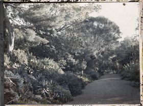 Image représentant Une allée du jardin