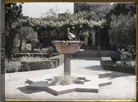 Image représentant Cigogne sur une vasque du jardin de la médersa dans la casbah des Oudaïa