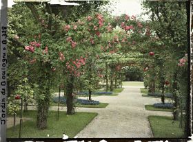 Image représentant Axe central du verger-roseraie vu vers le jardin anglais, près du rond-point côté jardin français