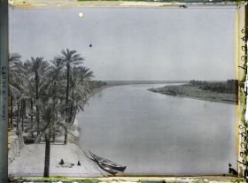 Image représentant Le Tigre