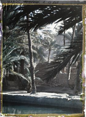 Image représentant Un bassin de retenue dans l'oasis de Zenaga