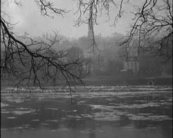 Image représentant La Seine charrie des glaçons