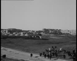 Image représentant Aspects du village