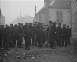 Image représentant Pêche à la morue