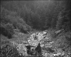 Image représentant Descente du bois en traîneau
