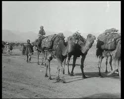 Image représentant Caravanes afghanes