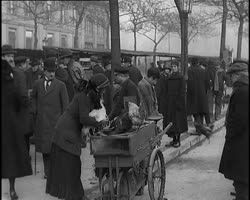 Image représentant Marché aux oiseaux le dimanche