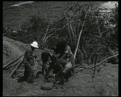 Image représentant Travaux dans la « grande ville royaume »