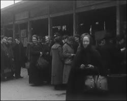 Image représentant scènes de rue, marché, forêt dévastée
