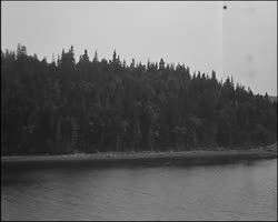 Image représentant Pêche à la morue