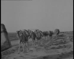 Image représentant Nomades