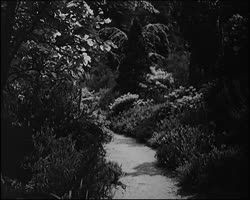 Image représentant Essai panchromatique