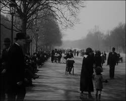 Image représentant Avenue du Bois de Boulogne