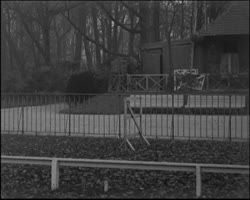 Image représentant Exercices de sauts par l'athlète Géo André